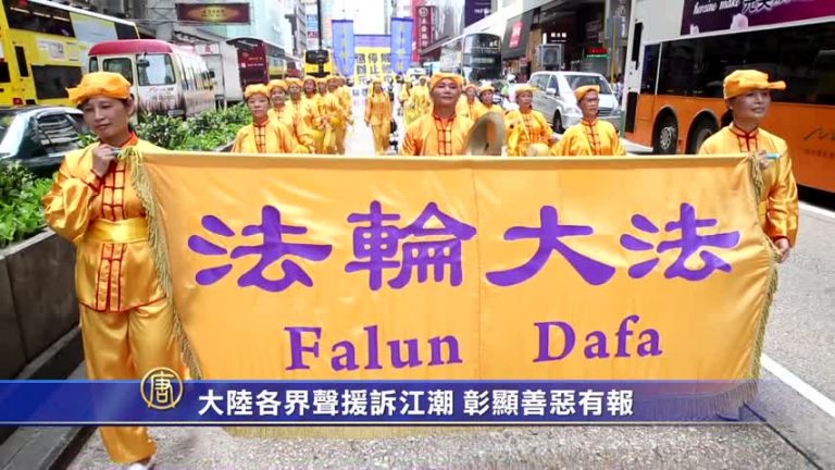 鮑彤辛子陵等聲援訴江潮