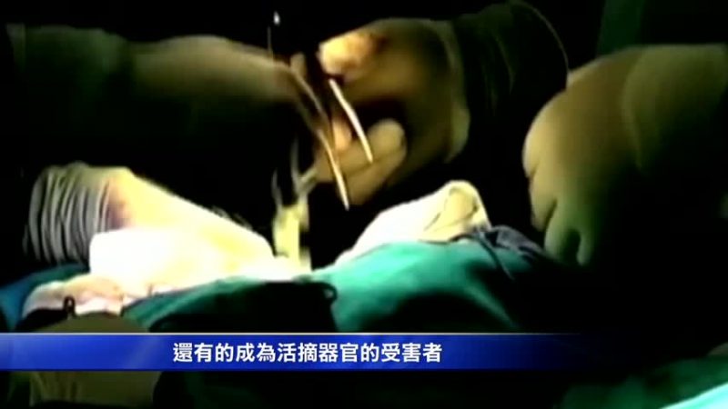 人权无疆界吁制止迫害法轮功