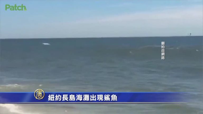 7月23日大紐約簡訊