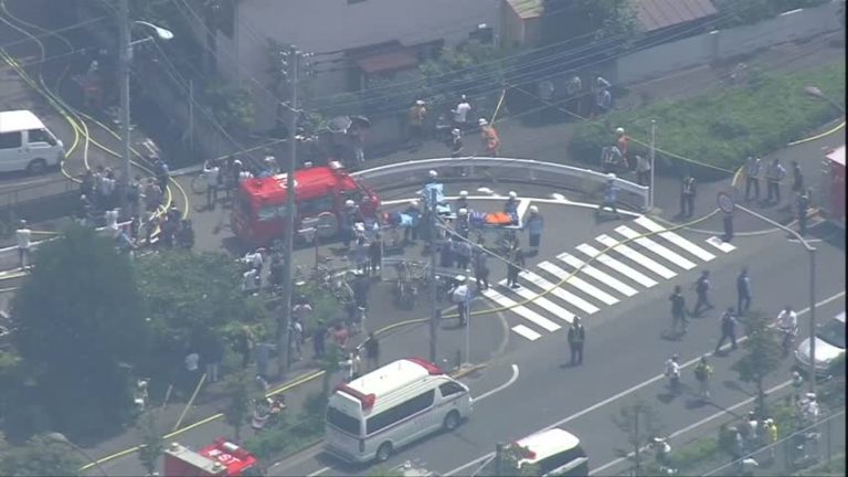 東京市郊小型飛機墜毀擊中民宅