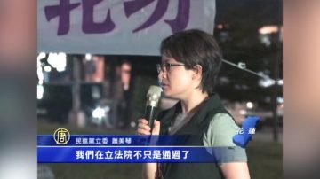 台花莲集会声援告江 朝野立委支持