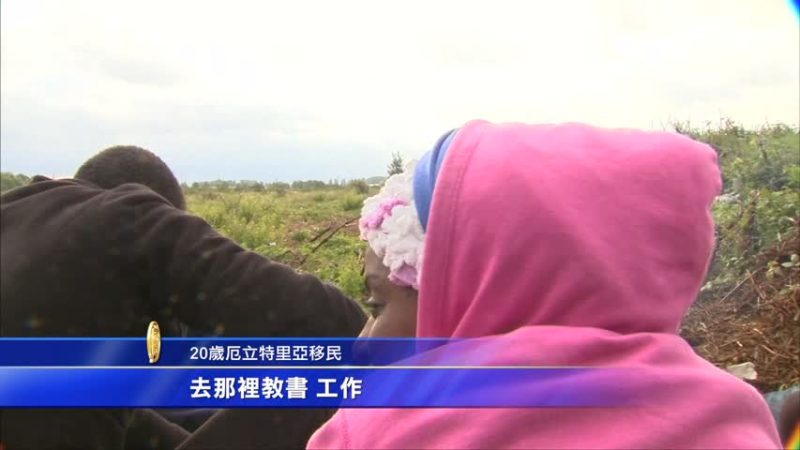 移民危機持續 數百人再闖歐洲隧道