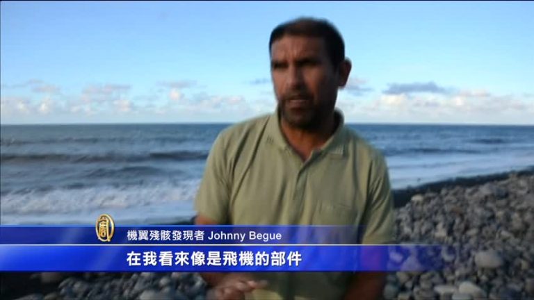 疑似MH370殘骸 清潔工揭秘發現經過