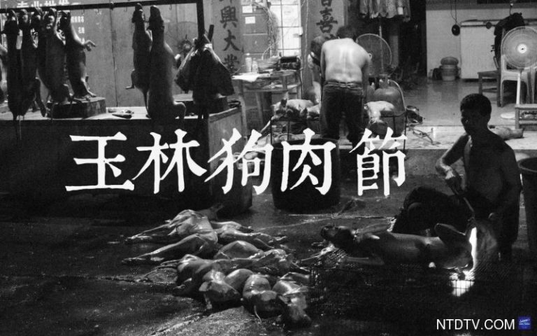 燒狗妹不是中國人? 老外揭秘背後黑幕