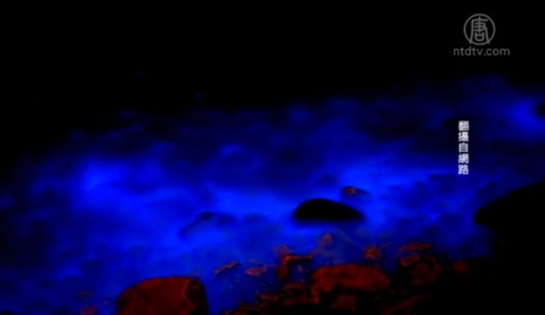馬祖最夯「藍眼淚」 奇幻海景招遊客