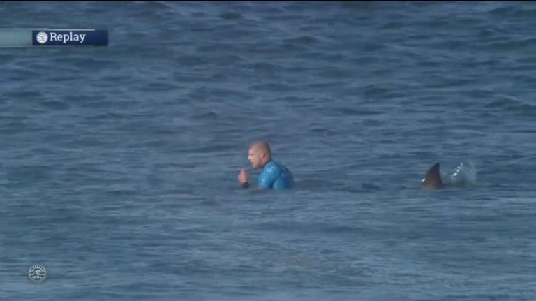 【視頻】驚心動魄 鯊魚大戰衝浪高手