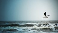 鄂小鎮嗚咽：流浪的親人何時平安回家