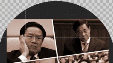 冷酷與野心 令計劃與哪位中央委員最相似？