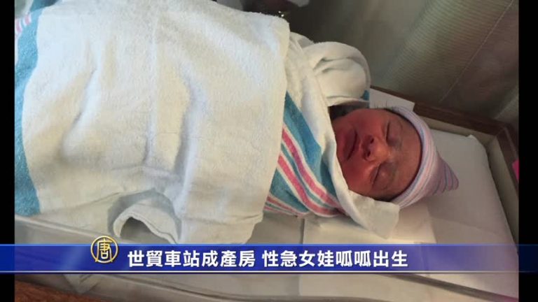 8月4日大紐約簡訊