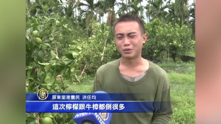 蘇迪勒肆虐 全臺農損近3億元
