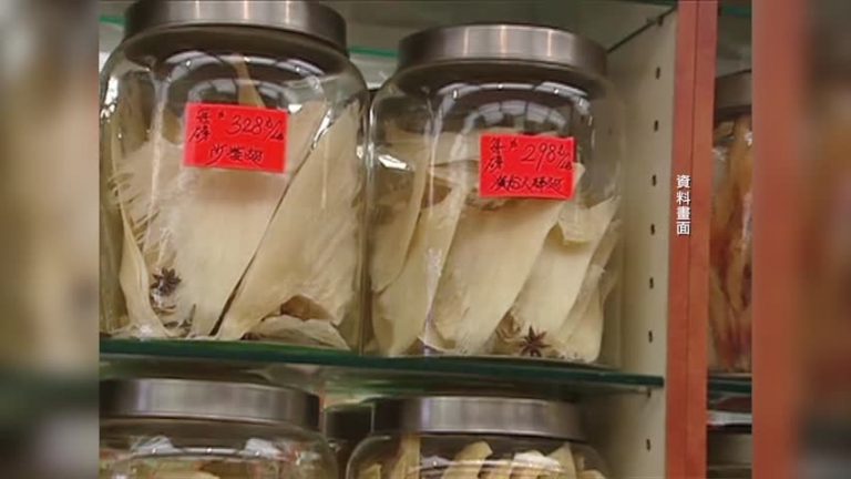 魚翅禁令首例違規  華裔貿易商被罰1萬