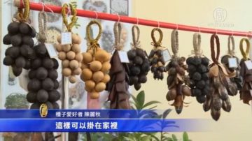 “豆友”巧手 种子化身手工艺品