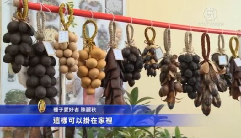 「豆友」巧手 種子化身手工藝品