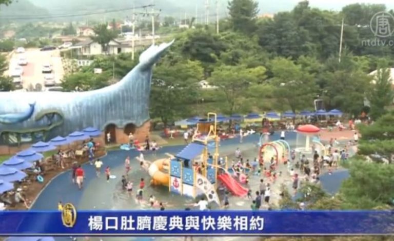 楊口肚臍慶典與快樂相約