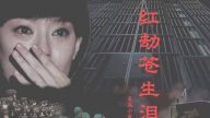 《红劫苍生泪》连载（七）
