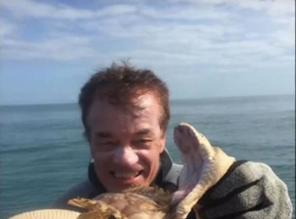 毒性不相上下 蛇魚激烈纏鬥恐雙亡