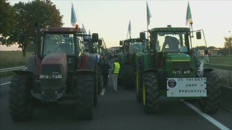 法國農夫拖拉機大集會 抗議農產品降價