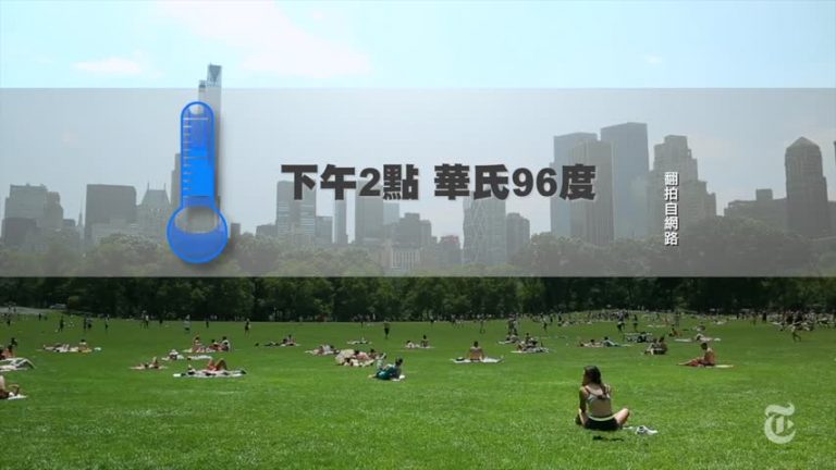 烤熟大蘋果 中央公園高溫破93年記錄