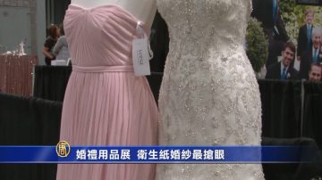 婚礼用品展 卫生纸婚纱最抢眼