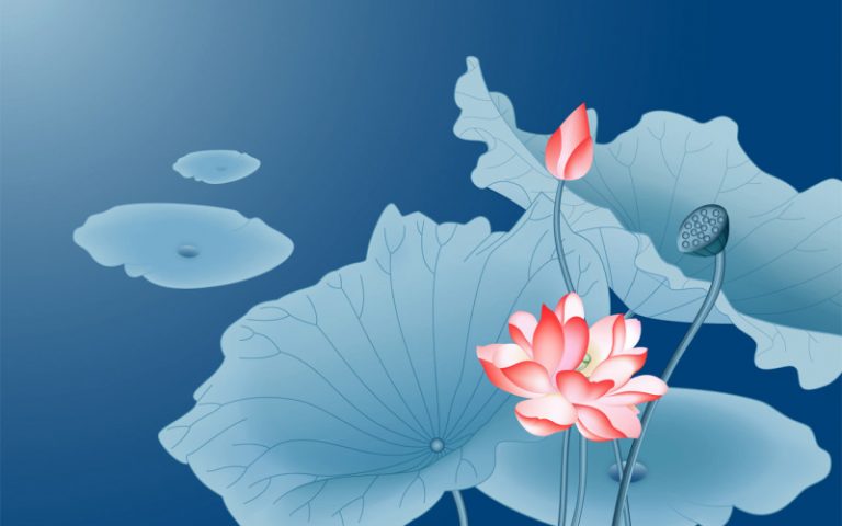 蒙陰女子含冤離世 年僅47歲