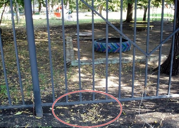 這是怎麼做到的？5歲男童挖「地道」逃學