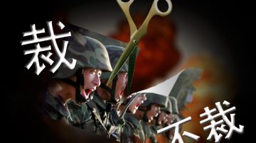 裁軍有三大難題 涉複雜人事變動和機構變遷