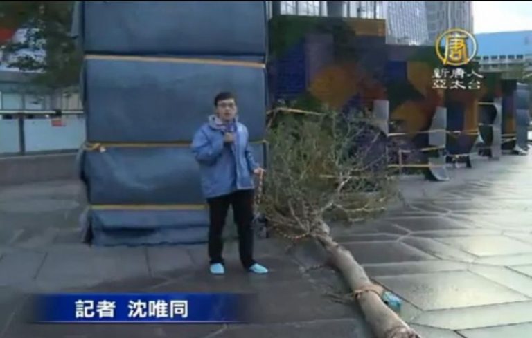 今晨最新！杜鵑出海 台北陣風威力仍驚人