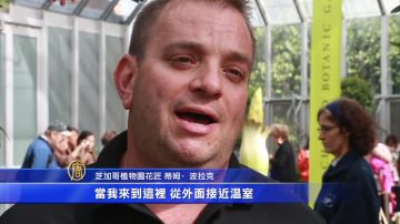 罕见巨花发出怪味 游客蜂拥前往观赏