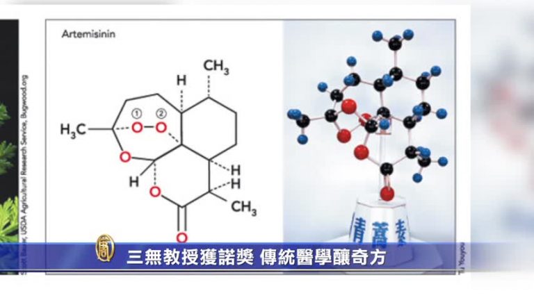 三無教授獲諾獎 傳統醫學釀奇方