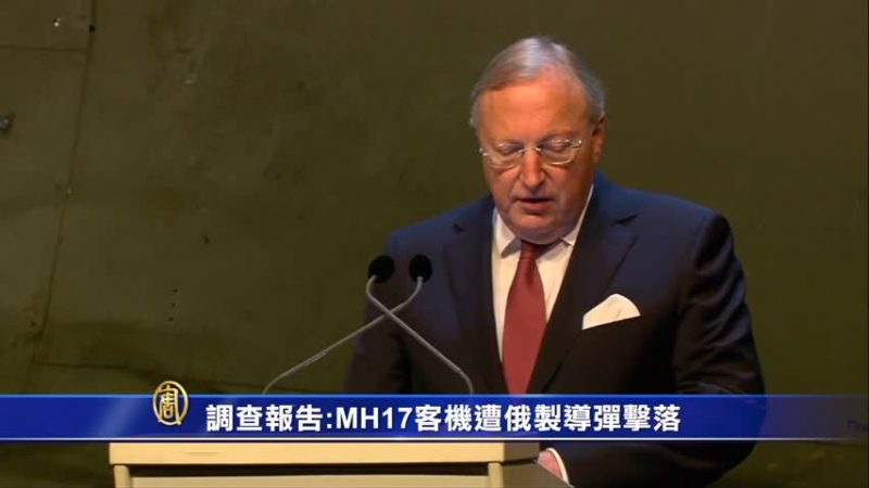 調查報告:MH17客機遭俄製導彈擊落