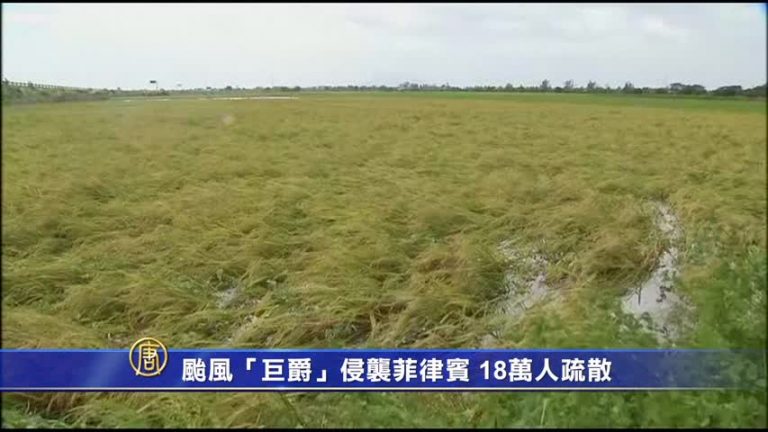 颱風「巨爵」侵襲菲律賓 18萬人疏散