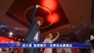 加大选  点票显示：在野自由党胜出