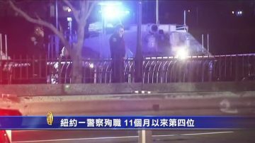 紐約1警追兇遭槍殺 11個月共4警殉職