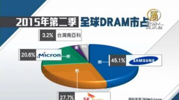 过去两兆双星 台湾DRAM全球市占不到6%