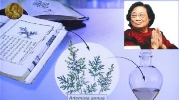 【热点互动】屠呦呦获诺奖 荣誉与尴尬