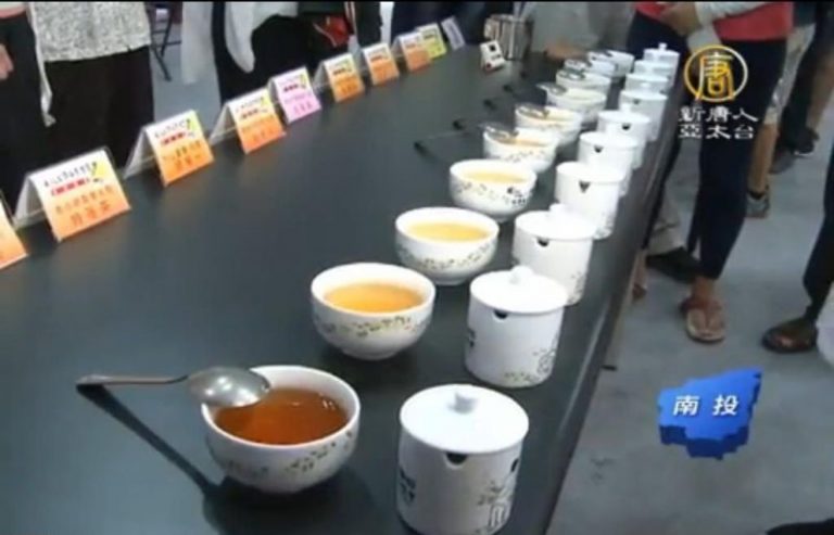 南投茶博黃金品茗 極品烏龍唇舌饗宴