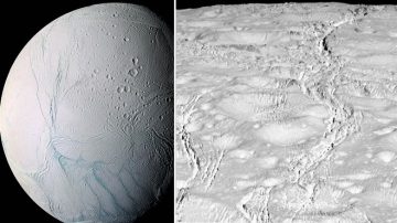 NASA發布土衛二北極照片 地表裂縫十分搶眼