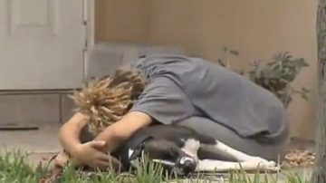 美警击毙斗牛犬 主人惊呆搂尸痛哭