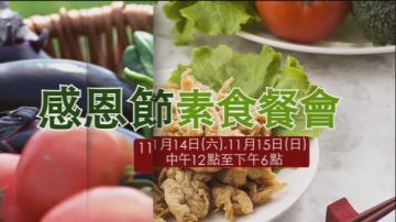 【广告】美华素食二十周年庆酬宾