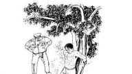 廖明：中共恶毒至极的动物酷刑–蚊叮蜂蜇毒蛇上身狼狗撕咬