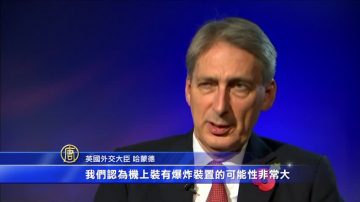 英外相：俄客機「很可能」因炸彈爆炸