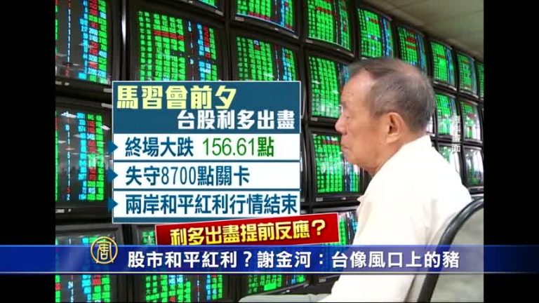 股市和平紅利？謝金河：臺像風口上的豬