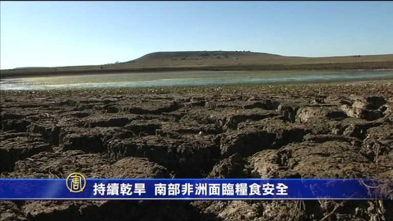 持續乾旱 南部非洲面臨糧食安全