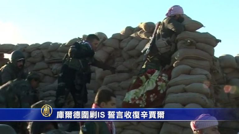 美空襲支援 庫爾德圍剿IS 欲收復辛賈爾