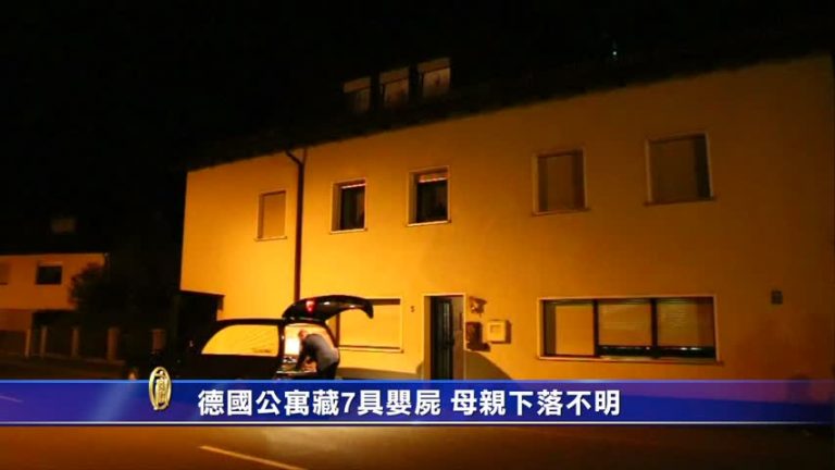 德國公寓藏7具嬰屍 母親下落不明
