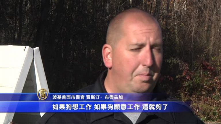 一改危險形象 鬥牛犬加入警犬行列