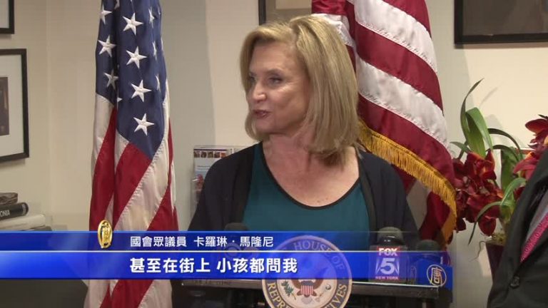 紐約官員推動 大熊貓有望安家紐約
