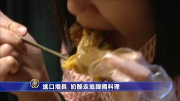 進口增長 奶酪走進韓國料理