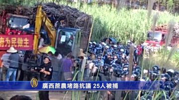 廣西蔗農堵路抗議 25人被捕