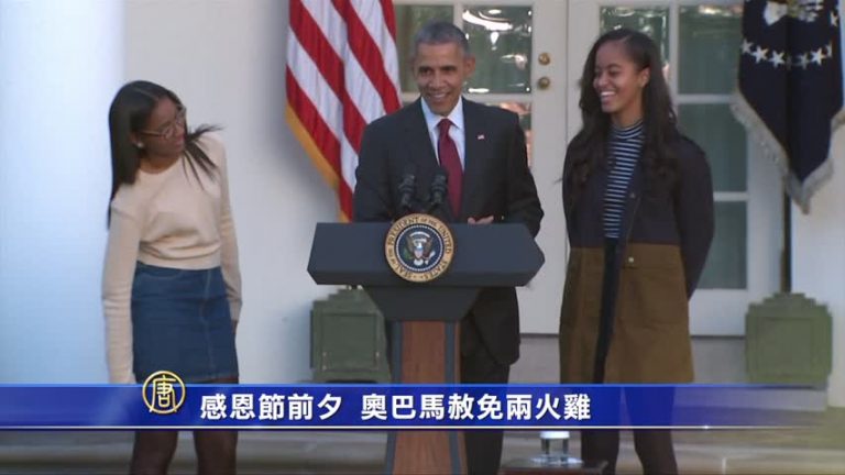 感恩節前夕  奥巴馬赦免兩火雞